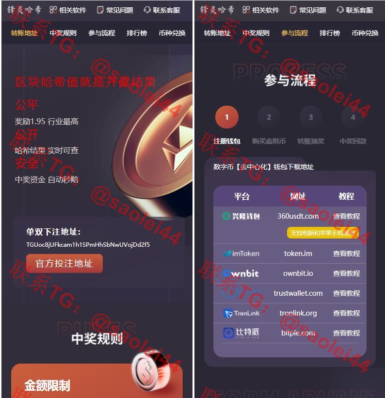 哈希竞猜2套前端模板带后台|详细教程-heichanym.com-黑产源码