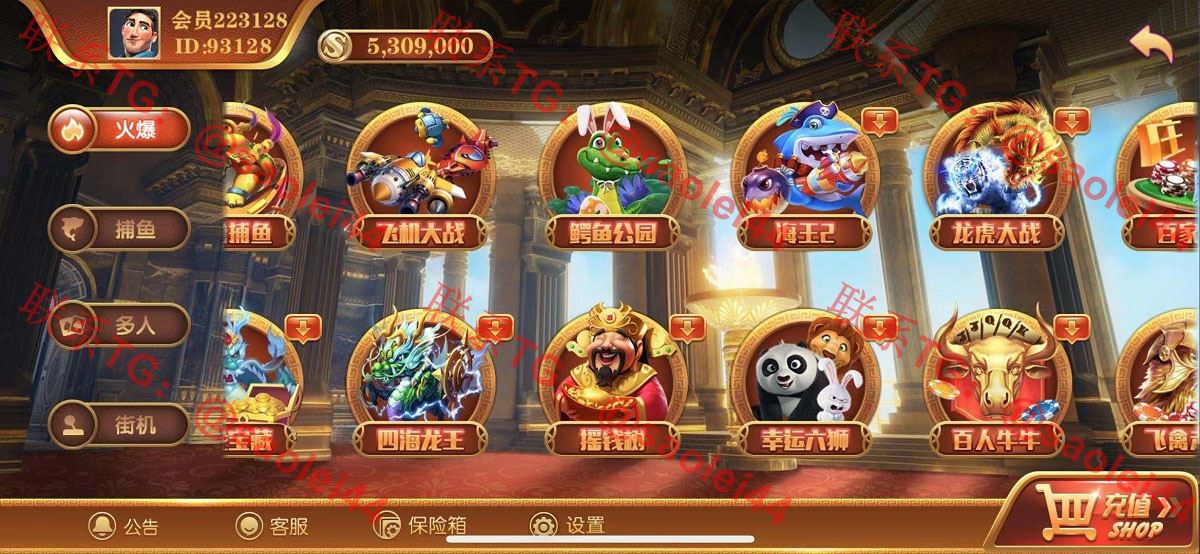 逍遥娱乐 无错运营级别 大富豪 二开增加多款子游戏 双端完整组件